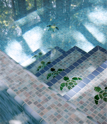 Close up of tiled pool with sea turtle mosiacs on stairs and floor of swimming pool